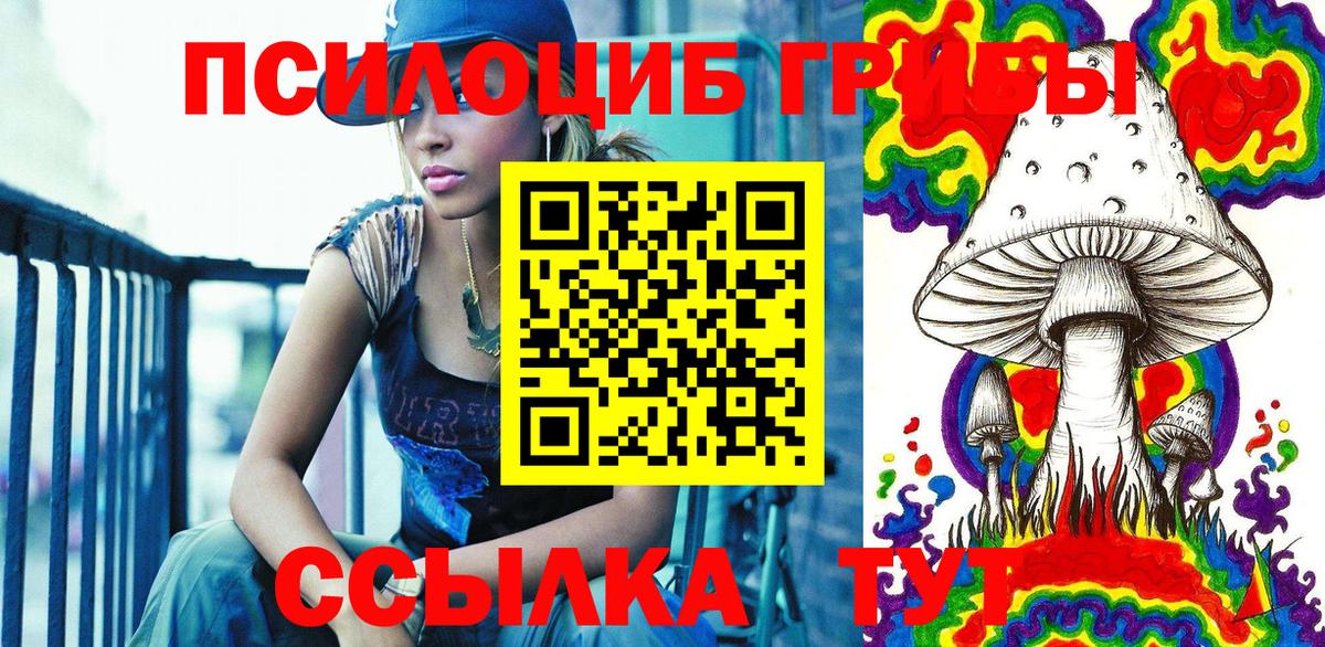 Псилоцибиновые грибы Psilocybe  Вход с VPN  Ливны  Псилоцибиновые грибы прущие грибы 
